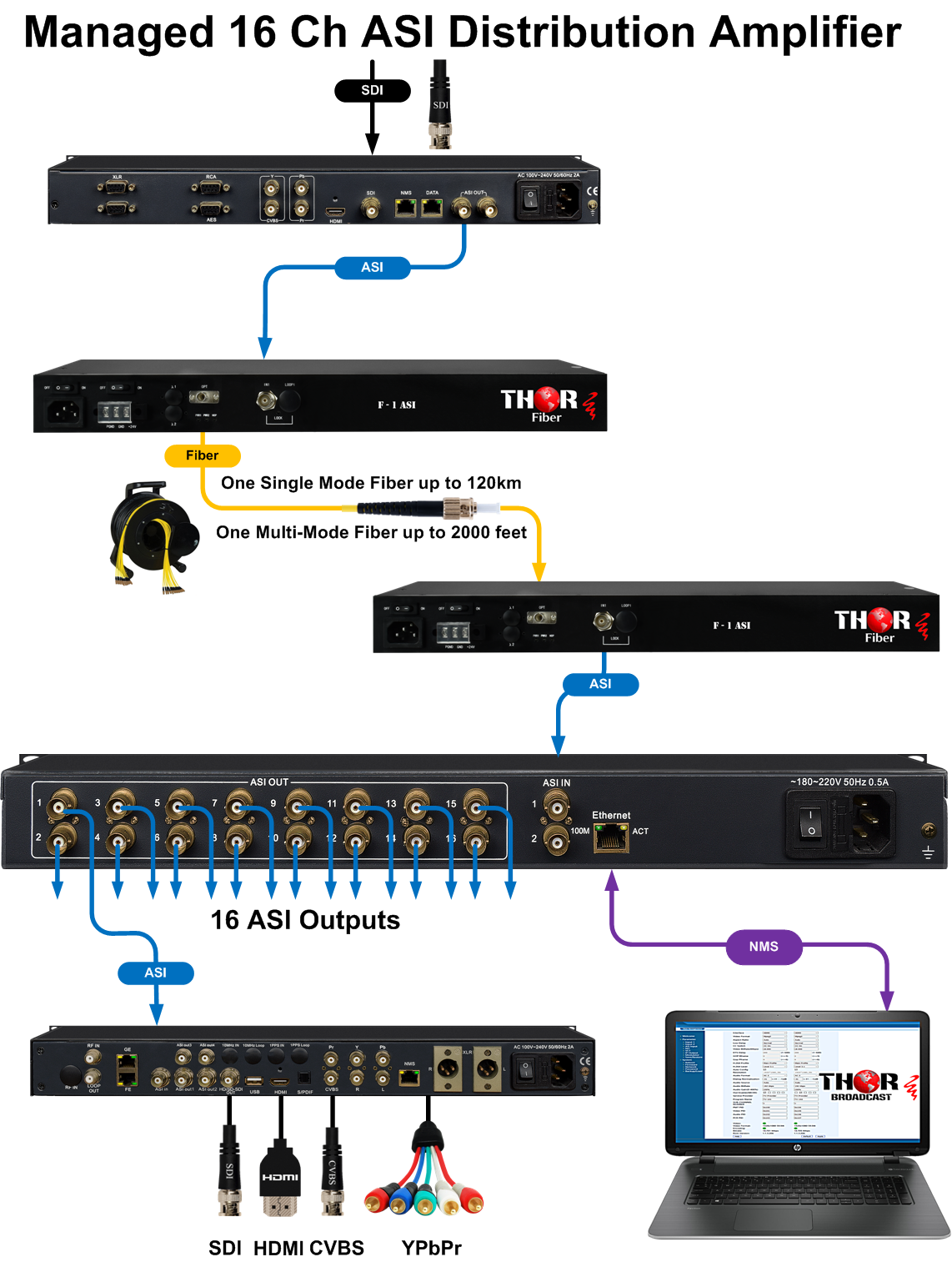 Thor 1x16 DVB ASI Splitter and Distribution Amplifier - Image 3